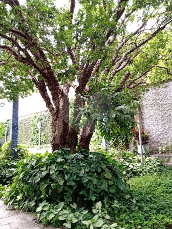Sobrado à venda com 3 quartos, sendo 1 suíte, em Vila Nova Mazzei, São Paulo, SP
