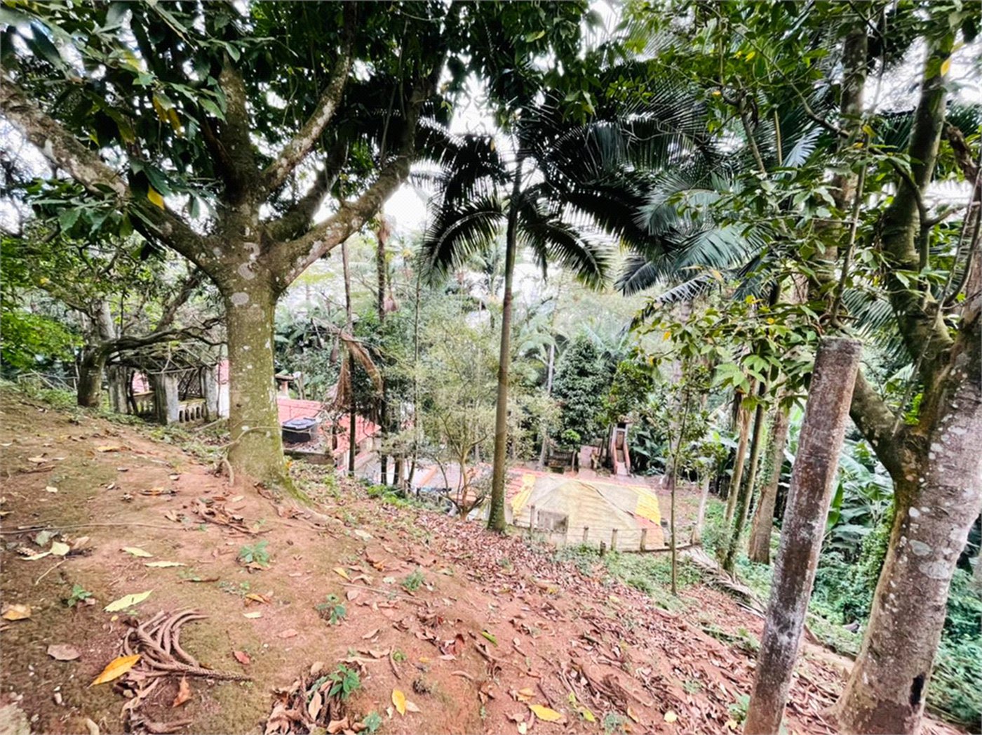Terreno à venda em Tucuruvi, São Paulo, SP