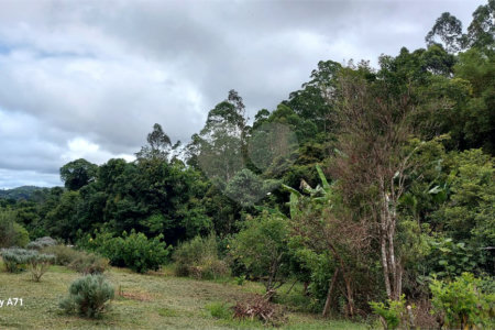 Chácara à venda em Sorocamirim (canguera), São Roque, SP