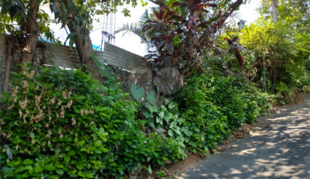 Terreno à venda com 2 quartos em Tucuruvi, São Paulo, SP