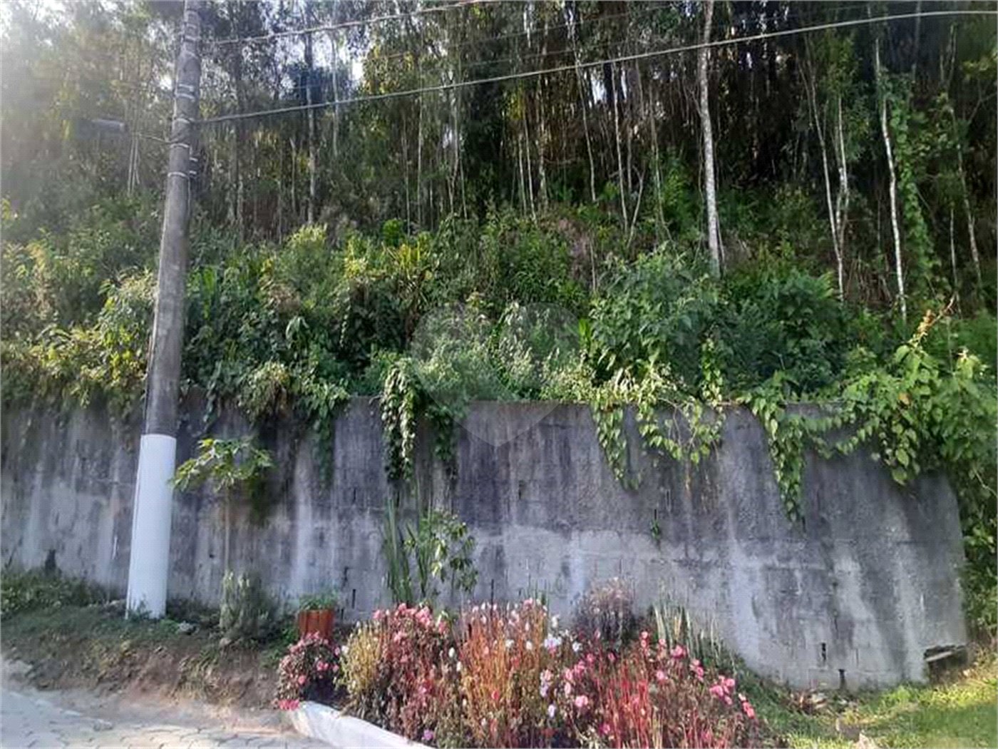 Terreno à venda em Serra da Cantareira, Mairiporã, SP