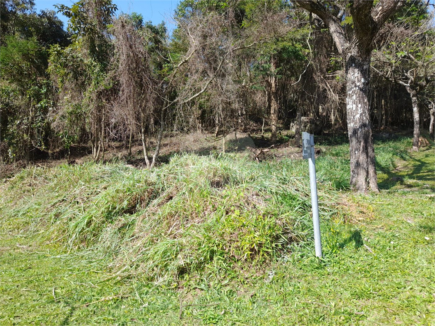 Loteamento à venda em Serra da Cantareira, São Paulo, SP