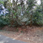 Terreno à venda em Chácara Arantes, Mairiporã, SP