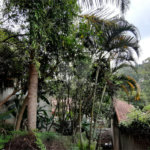 Terreno à venda em Tucuruvi, São Paulo, SP