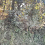 Terreno à venda em Luiz Fagundes, Mairiporã, SP