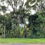 Terreno à venda no condomínio Associação Reserva das Hortênsias, Mairiporã - SP