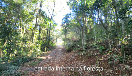Chácara à venda com 3 quartos, sendo 1 suíte,  em Penha, Bragança Paulista, SP
