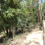 Chácara à venda com 4 quartos em Vista Alegre, Vinhedo, SP