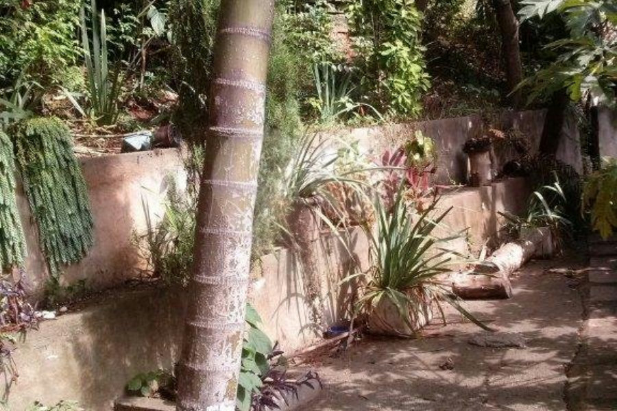 Prédio à venda com 3 quartos em Vila Nova Cachoeirinha, São Paulo, SP