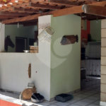 Sitio para venda.