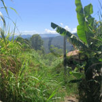 Terreno à venda em Luiz Fagundes, Mairiporã, SP