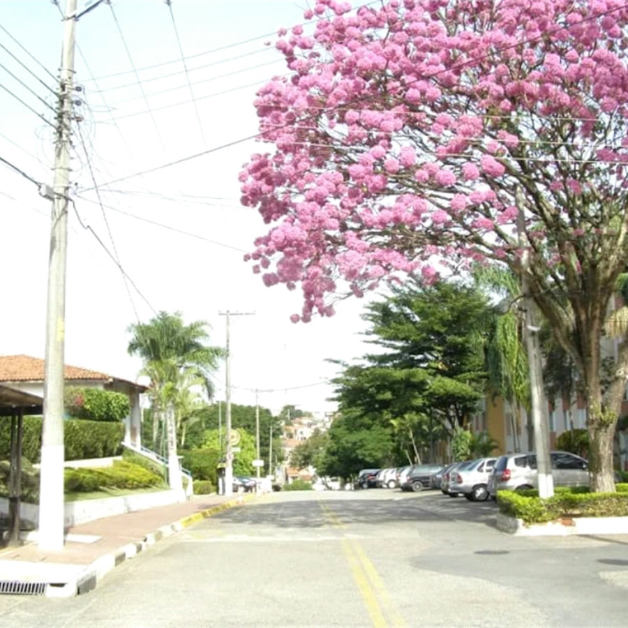 Apartamento à venda com 1 quarto em Jardim São Paulo, Sorocaba, SP