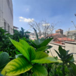 Apartamento à venda com 2 quartos em Vila Dom Pedro Ii, São Paulo, SP