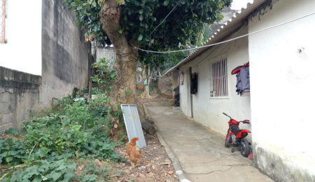 Terreno à venda com 1 quarto em Jaçanã, São Paulo, SP