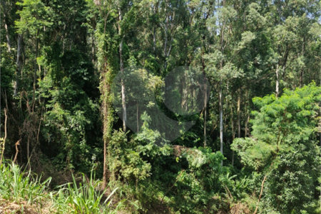Terreno à venda no condomínio Vista Alegre Cafe, Vinhedo - SP