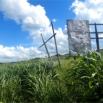 Terreno à venda em Portal das Laranjeiras, Araraquara, SP