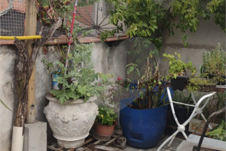 Sobrado à venda com 3 quartos, sendo 1 suíte, em Jardim da Mamãe, Guarulhos, SP