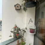 Apartamento à venda com 3 quartos, sendo 1 suíte, em Vila Monte Alegre, São Paulo, SP