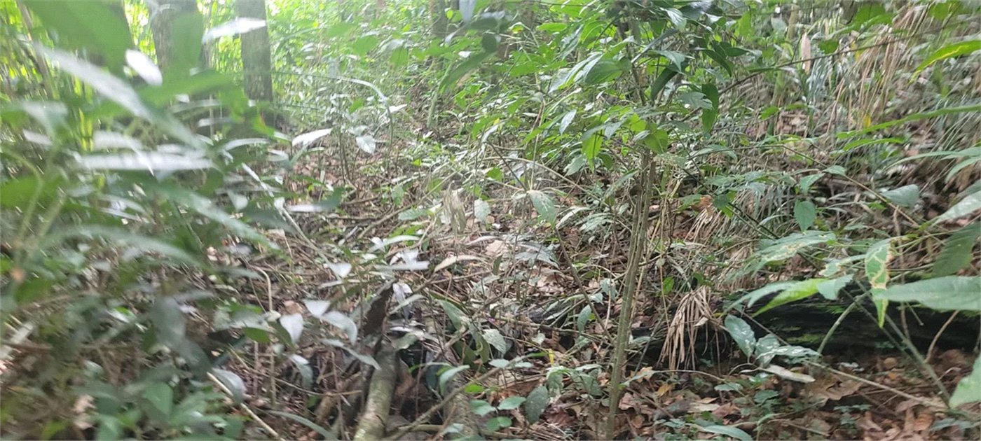 Terreno à venda em Mantiqueira, Mairiporã, SP