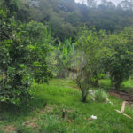 Chácara à venda com 3 quartos em Chácaras Copaco, Arujá, SP