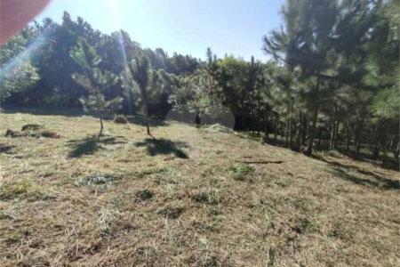 Fazenda Elisa / Atibaia
