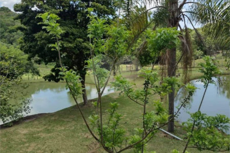 Excelente imóvel rural na cidade de Piedade/SP