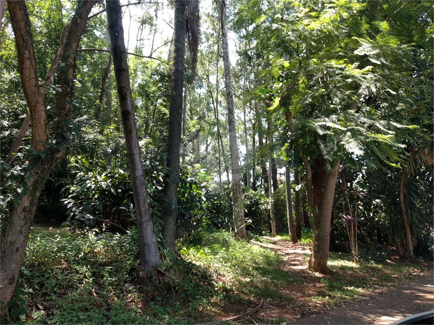 Casa Térrea à venda com 3 quartos, sendo 1 suíte, em Jardim Marajoara, São Paulo, SP