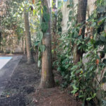 Casa à venda com 3 quartos, sendo 2 suítes,  em Morumbi, São Paulo, SP