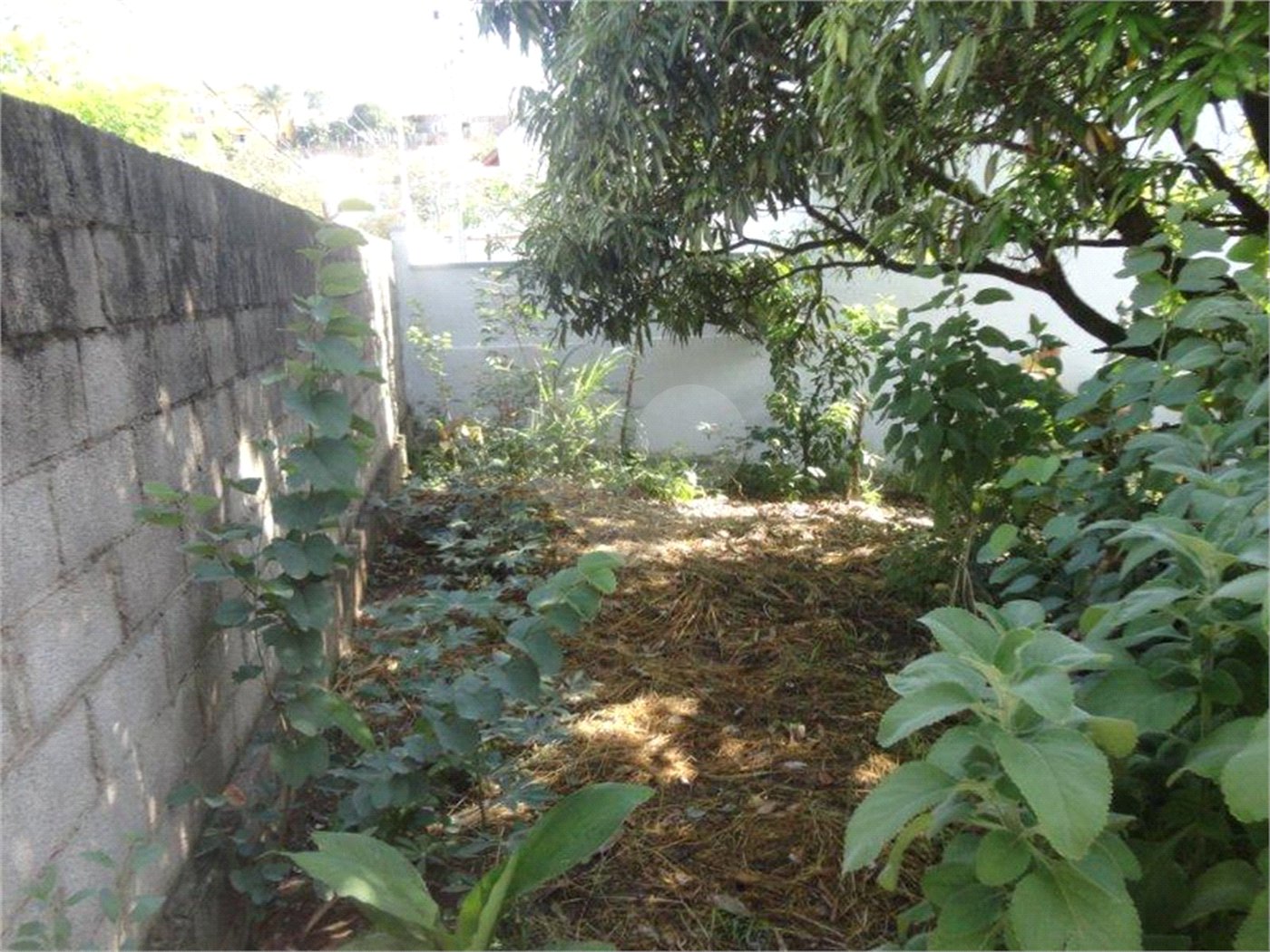 Terreno à venda em Vila São José, Valinhos, SP