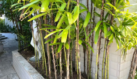 Apartamento Residencial à venda, Enseada, Guarujá - AP0868.