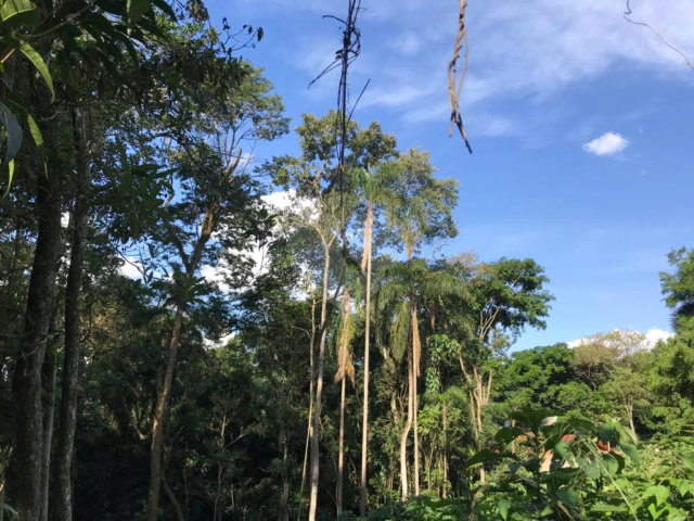 Terreno à venda em Serra da Cantareira, Mairiporã, SP