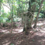Sítio à venda no Centro, Monte Sião, MG