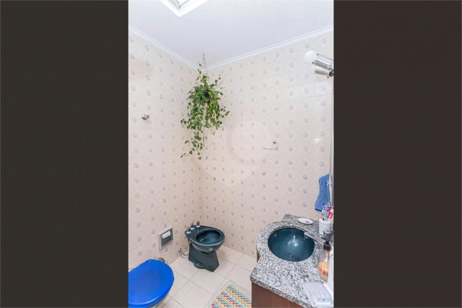 Sobrado à venda com 3 quartos, sendo 1 suíte, em Vila Carolina, São Paulo, SP