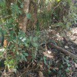 Terreno à venda no condomínio Sausalito, Mairiporã - SP