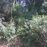 Terreno à venda em Serra da Cantareira, Mairiporã, SP