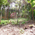 Terreno à venda em Alto da Boa Vista, São Paulo, SP