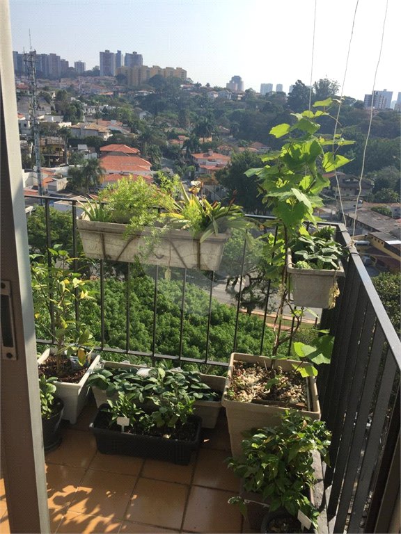 Apartamento à venda com 2 quartos em Vila Progredior, São Paulo, SP