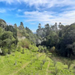 Terreno à venda em Serra da Cantareira, Mairiporã, SP