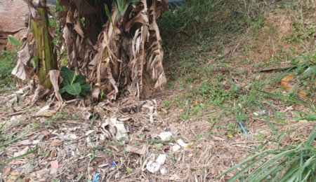 Terreno à venda em Vila Indiana, São Paulo, SP