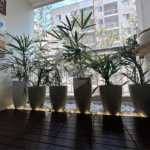 Apartamento à venda com 1 suíte em Vila Polopoli, São Paulo, SP