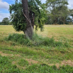 Loteamento Residencial no Condomínio Vila Pinhal do Broa.