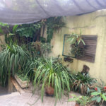 Casa à venda com 3 suítes em Jardim Rosa de Franca, Guarulhos, SP
