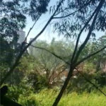 Terreno à venda em Paraisópolis, São Paulo, SP