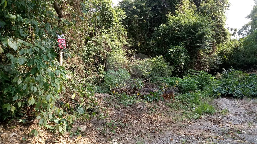 Terreno à venda em Serra da Cantareira, Mairiporã, SP