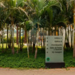 Apartamento à venda com 3 quartos, sendo 1 suíte,  em Vila Medeiros, São Paulo, SP