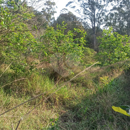 Terreno à venda em Bosque dos Eucalíptos, Atibaia, SP