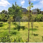 Apartamento com 57m² , 2 dormitórios , 1 vaga de garagem , à venda na Vila Formosa.