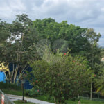 Casa à venda com 3 suítes em Condomínio Portal dos Nobres, Atibaia, SP