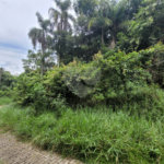 Terreno à venda em Serra da Cantareira, Mairiporã, SP