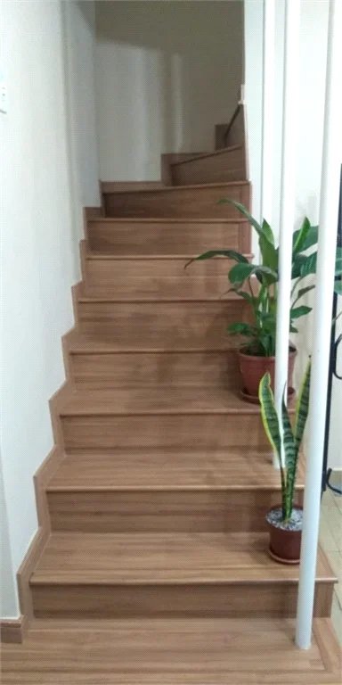 Casa à venda com 3 quartos em Vila Indiana, São Paulo, SP
